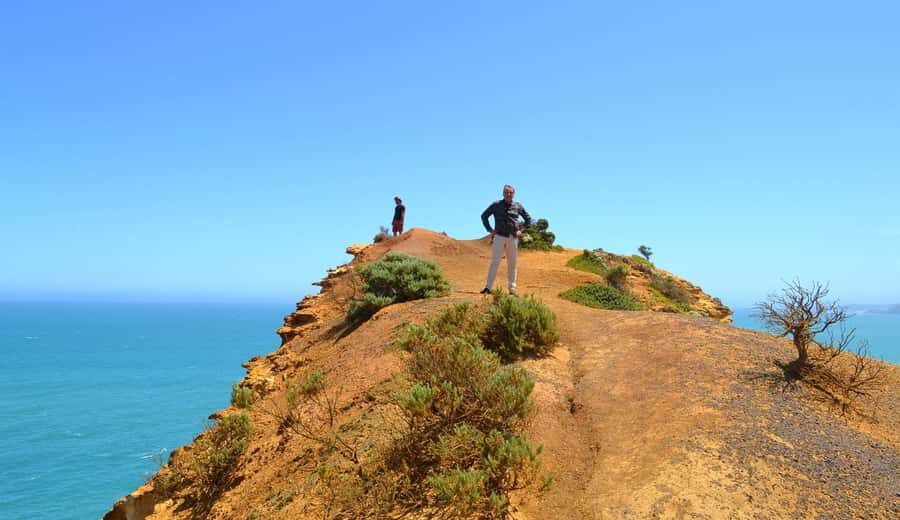 From Melbourne: Great Ocean Road Day Trip with Dinner - Key things to know before you go