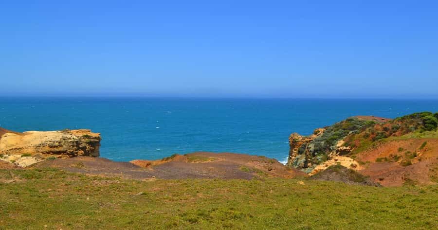 From Melbourne: Great Ocean Road Day Trip with Dinner - Maits Rest Rainforest Walk: a real break from the cliffs