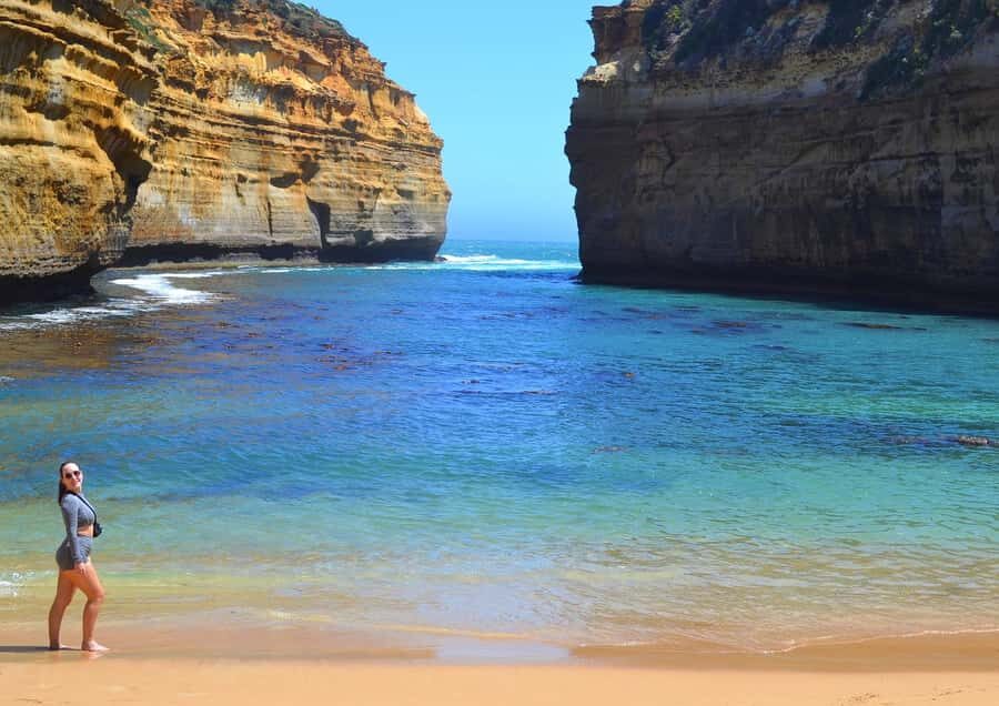 From Melbourne: Great Ocean Road Day Trip with Dinner - Kennett River and your wildlife viewing break
