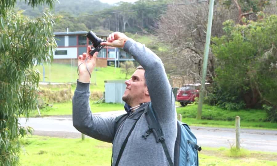 From Melbourne: Great Ocean Road Full-Day Sunset Tour - Price and value: what $98 includes (and what it doesn’t)