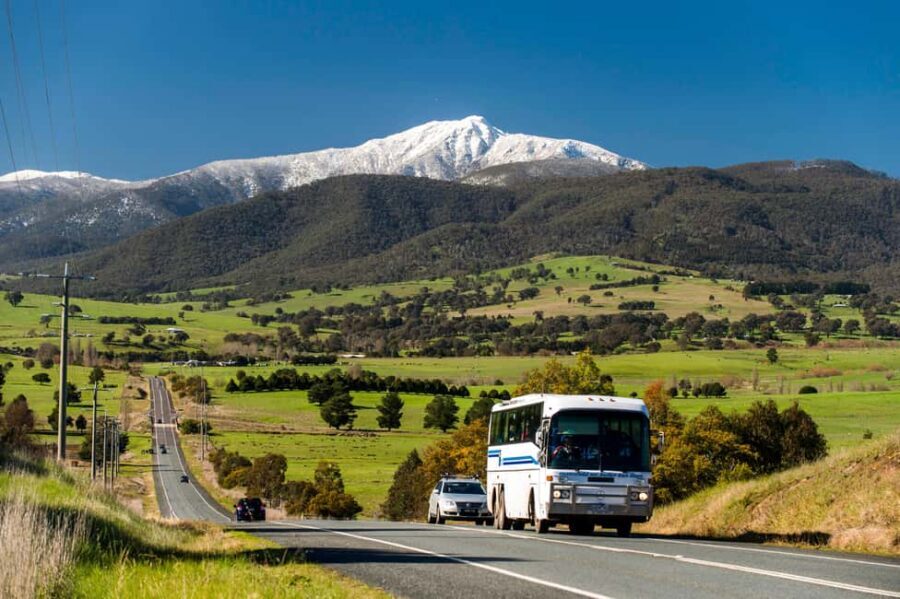 From Melbourne: Mt. Buller Sightseeing Day Trip Transfers - Skiing and snowboarding: lessons are possible, but budget for lift access