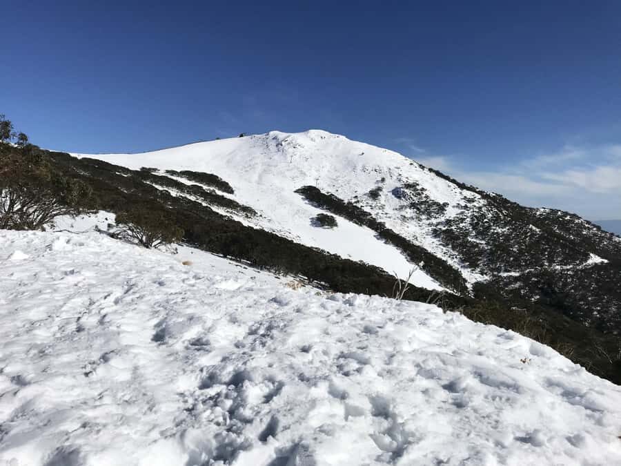 From Melbourne: Mt Buller Snow Day Small Group Boutique Tour - The Village Circuit Track Guided Walk: Best Views Without Skiing