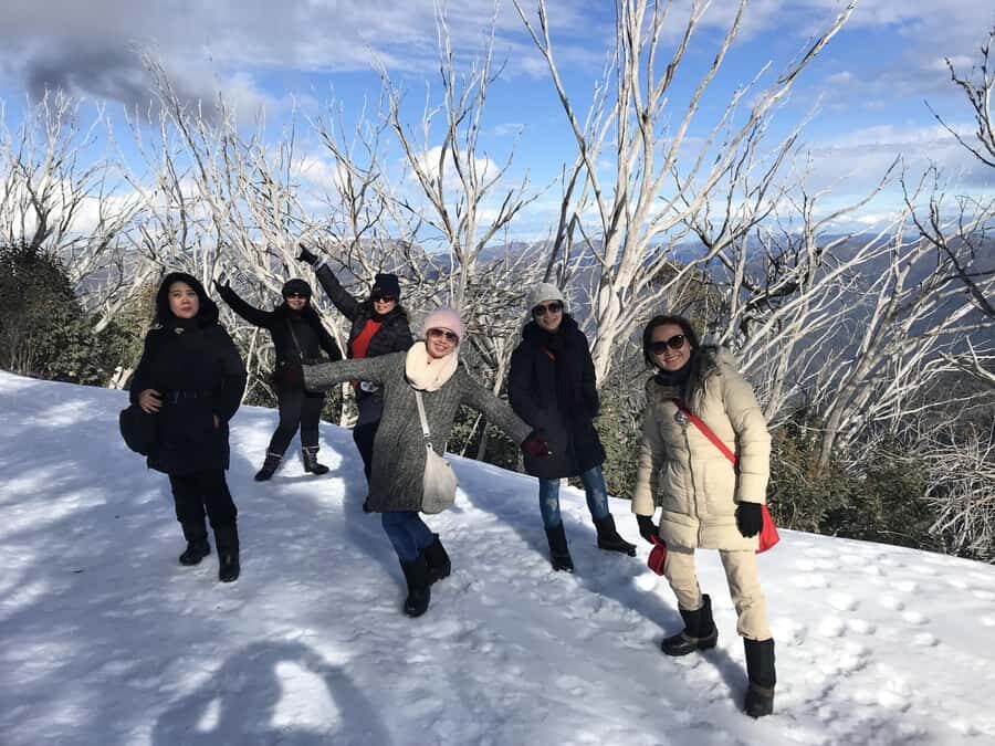 From Melbourne: Mt Buller Snow Day Small Group Boutique Tour - Getting There From Melbourne: Timing, Comfort, and What to Expect
