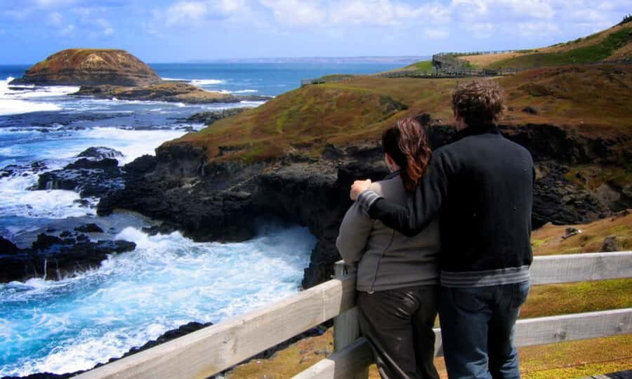 From Melbourne: Penguin Parade Afternoon Tour - Wildlife on the Way: Wallabies, Echidnas, and Storytelling