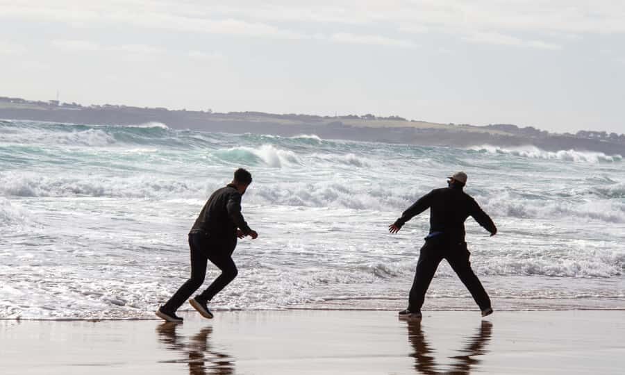 From Melbourne: Penguin Parade Afternoon Tour - Price and Value: What $95 Really Buys You