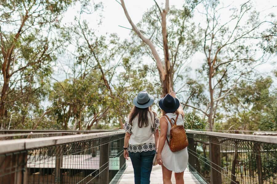 From Melbourne: Penguin Parade and Koalas Tour - Who this tour fits best (and who should skip it)