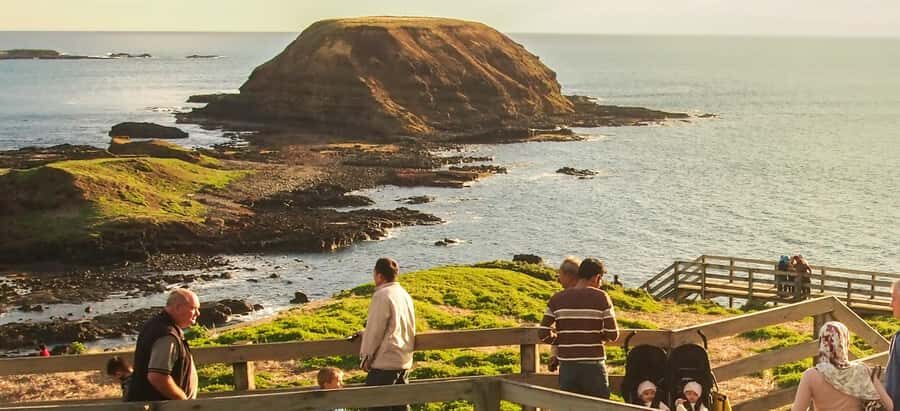 From Melbourne: Penguin Parade, Koalas & Kangaroos - Timing, stops, and why the day doesn’t drag