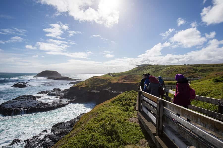 From Melbourne: Penguin Parade, Koalas & Kangaroos - Packing tips for cold coast weather and long sit-down time