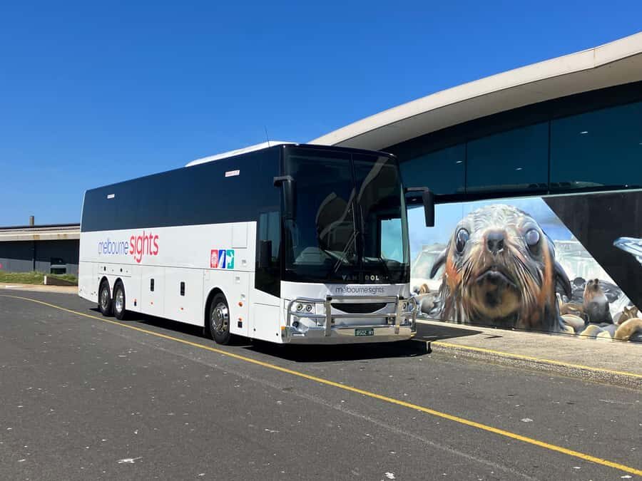 From Melbourne: Phillip Is Penguin Parade & Koala Reserve - Tips to Make the Day Feel Easy (Not Rushed)