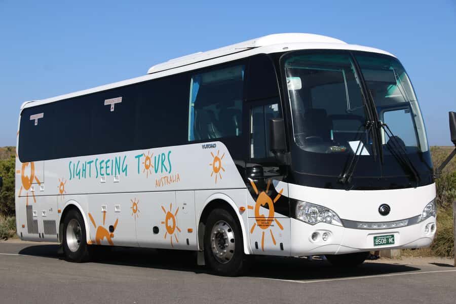 From Melbourne: Phillip Island and Penguin Parade Day Tour - Who this tour fits best (and who should skip it)