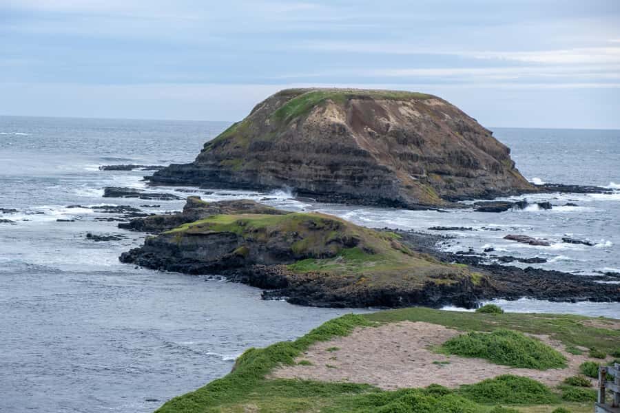 From Melbourne: Phillip Island and Penguin Parade Day Tour - The Nobbies and Seal Rocks: seals on display, plus strong coastal views