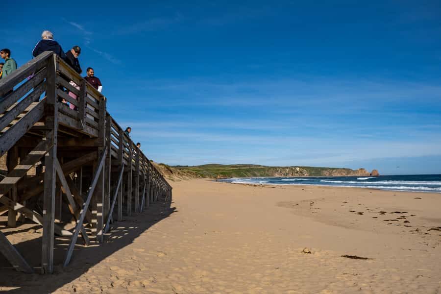 From Melbourne: Phillip Island and Penguin Parade Day Tour - Practical tips to maximize penguin-viewing and wildlife time