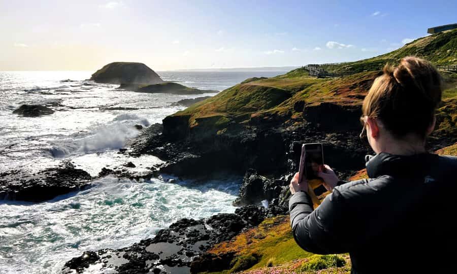 From Melbourne: Phillip Island Penguin Parade Eco Tour - Price and value: why $109 can work (or not)