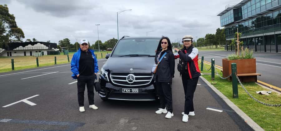 From Melbourne: Phillip Island Penguin Parade Private Tour - Koala Wildlife Nature Park and the charm of small encounters