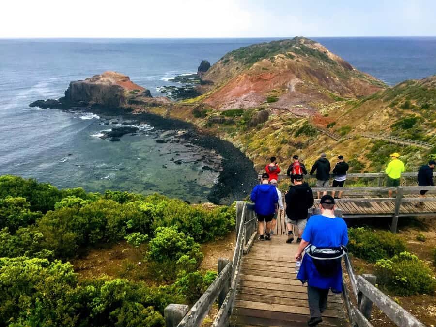 From Melbourne: Phillip Island Penguin Parade Private Tour - Moonlit Sanctuary Wildlife Conservation Park after dark timing