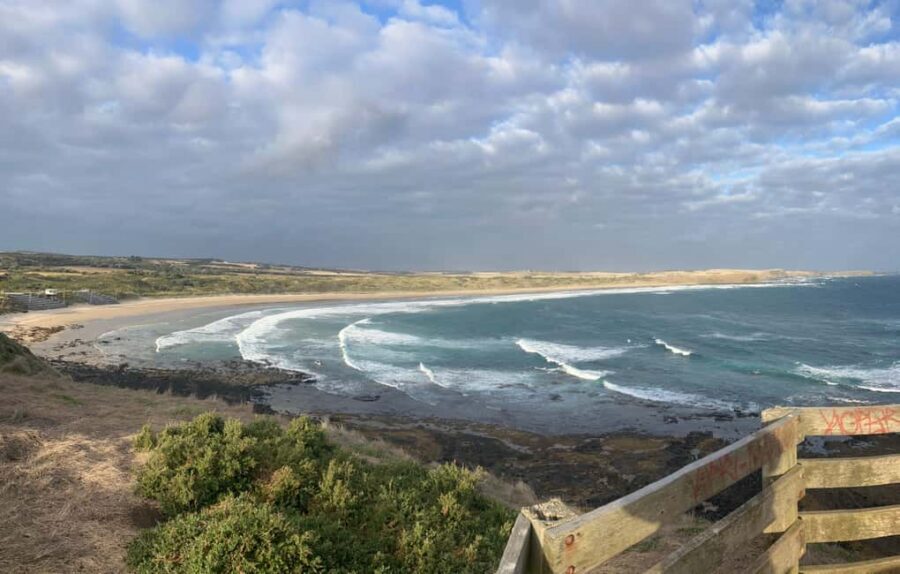 From Melbourne: Phillip Island Penguin Plus - Grandstand - Penguins Plus Grandstand at Summerland Beach: Reserved Seating With Capped Capacity