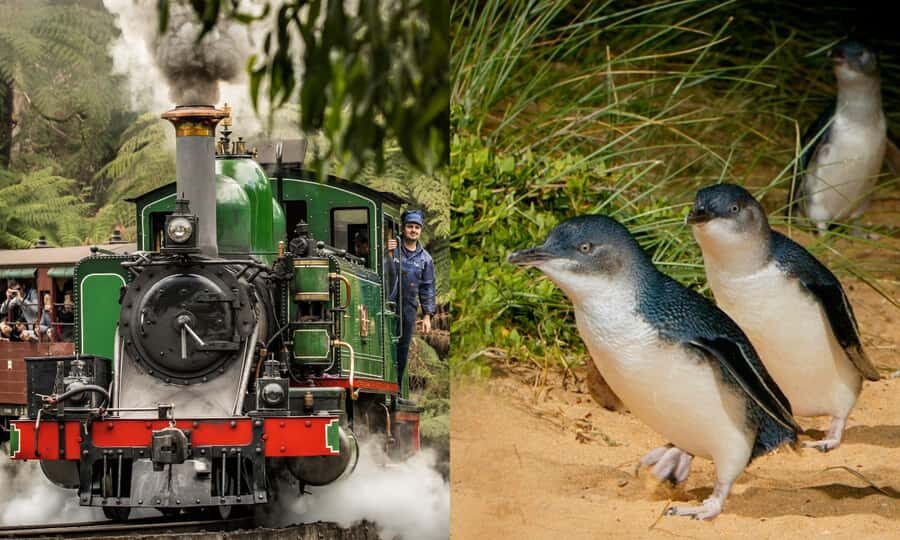 From Melbourne: Puffing Billy & Penguins Combo Tour Package - Key points before you go