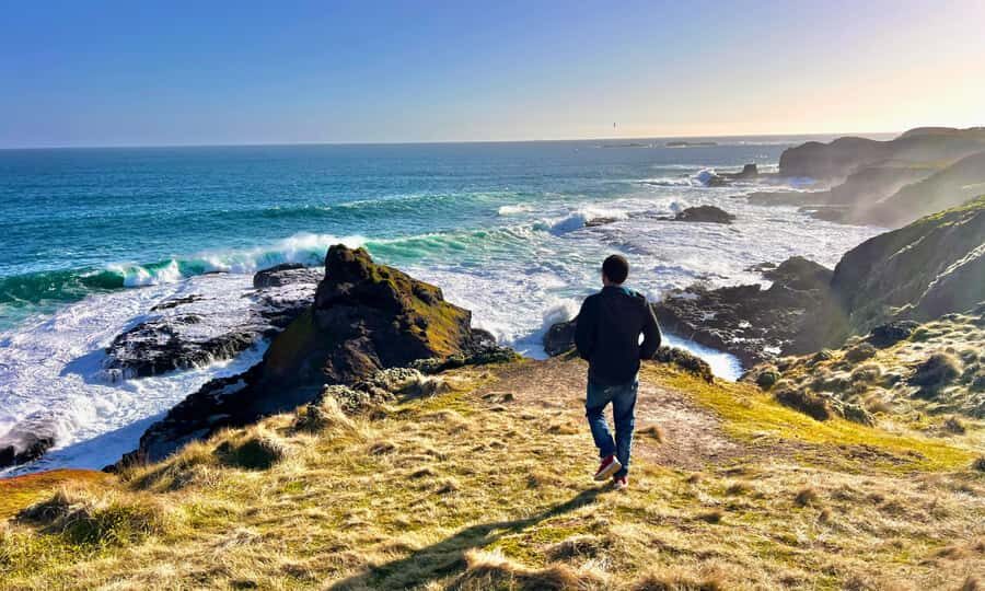 From Melbourne: Puffing Billy & Penguins Combo Tour Package - Melbourne lunch break: practical choice in the middle of a long day