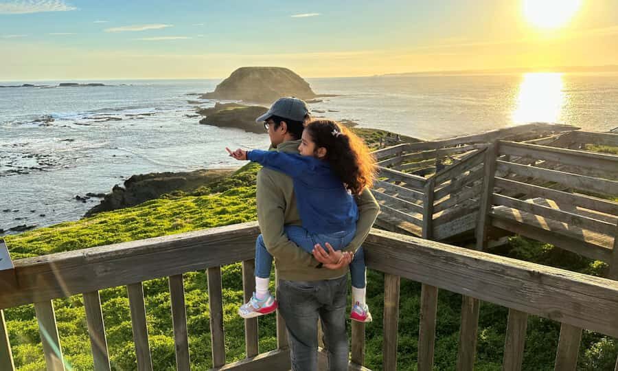 From Melbourne: Puffing Billy & Penguins Combo Tour Package - The Nobbies boardwalk stop: ocean views before the big penguin moment