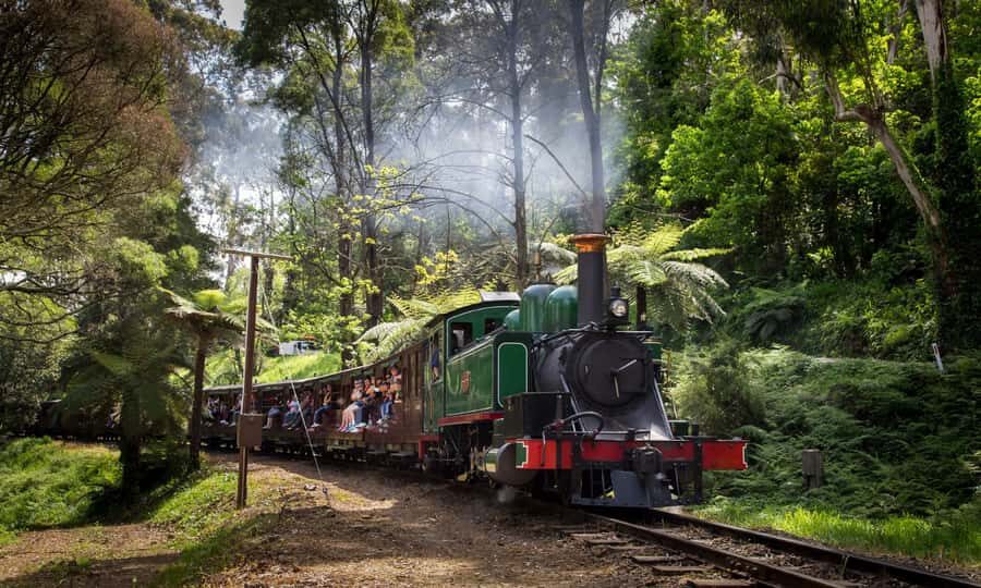 From Melbourne: Puffing Billy & Penguins Combo Tour Package - Comfort and tech: upgraded seating, Wi‑Fi, and a 16-language audio app