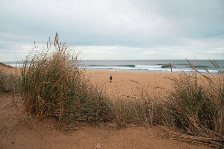From Melbourne: Small Group Great Ocean Road Tour - Who should book this Great Ocean Road small-group tour