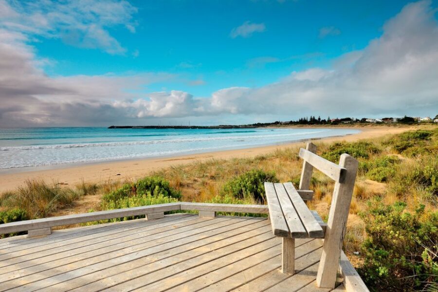 From Melbourne: Small Group Great Ocean Road Tour - Otway National Park: the rainforest walk that makes the scenery feel real