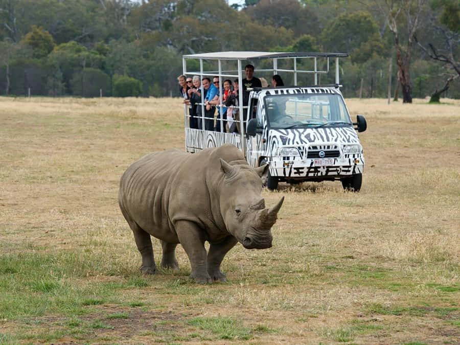 From Melbourne: Werribee Open Range Zoo & Werribee Mansion - Werribee Mansion: Pastoral Australia, Not Just Pretty Rooms