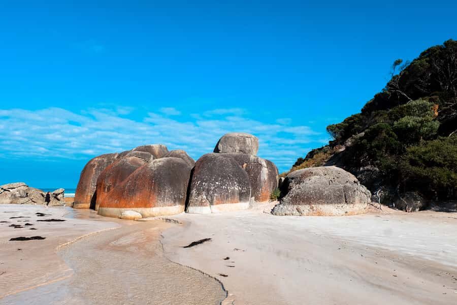 From Melbourne: Wilsons Promontory Small Group Day Tour - Price and value: does $155 make sense for Wilsons Prom access?