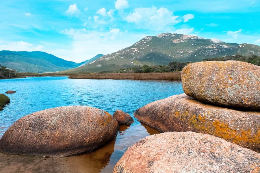 From Melbourne: Wilsons Promontory Small Group Day Tour - Getting to the tour: St Kilda Road start and VW Caravelle comfort