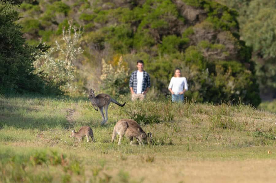 From Melbourne: Wilsons Promontory Wilderness Tour - Your Self-Guided Hike Choice: Mt Oberon, Mt Bishop, or Lilypilly