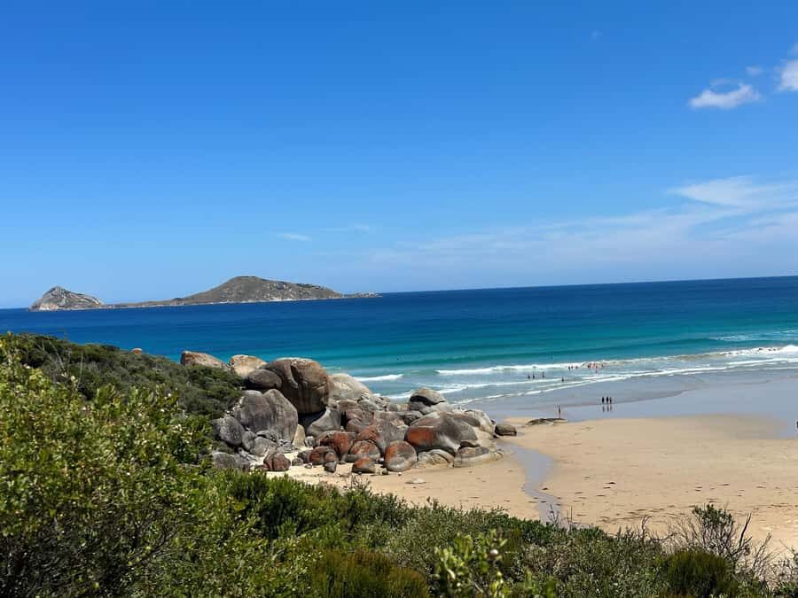 From Melbourne: Wilsons Promontory Wilderness Tour - Meeting Points and the 6:30 am Start: What Your Morning Looks Like