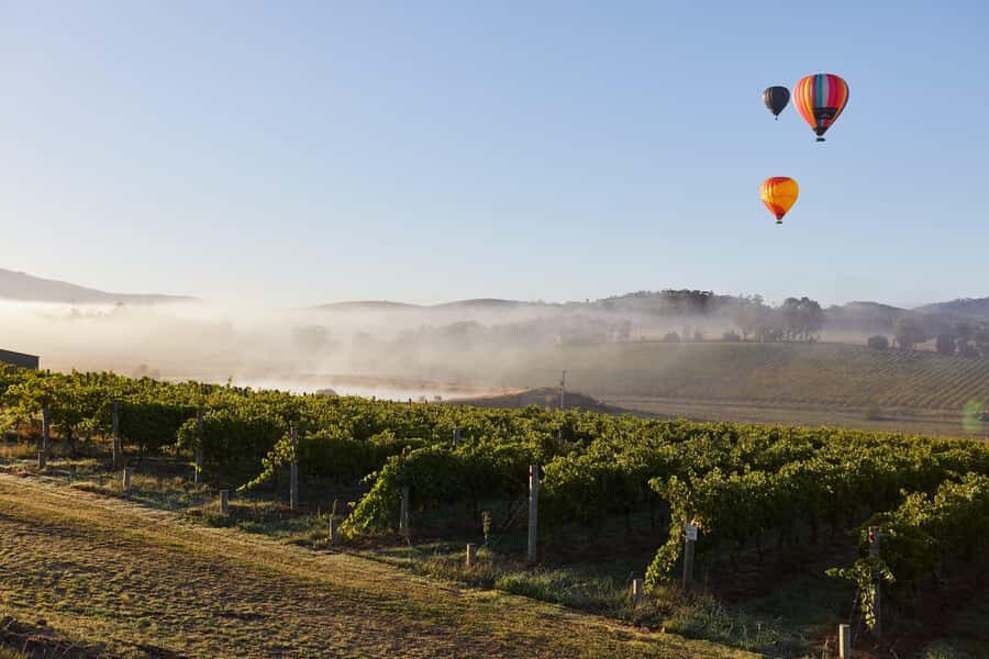 From Melbourne: Yarra Valley Hop-On-Hop-Off Bus Ticket - Stop-by-stop ideas: what to aim for on each route