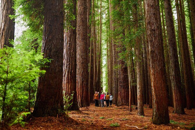 Fruit Picking & Nature Private Tour Yarra Valley & Warburton - Key highlights at a glance