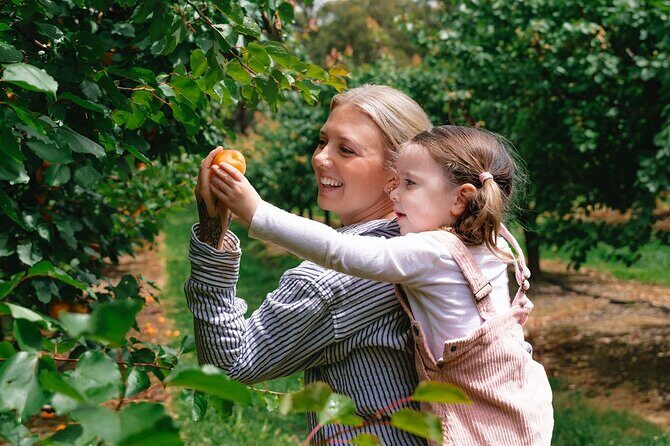 Fruit Picking & Nature Private Tour Yarra Valley & Warburton - What to Expect From Jay and the Tour Style