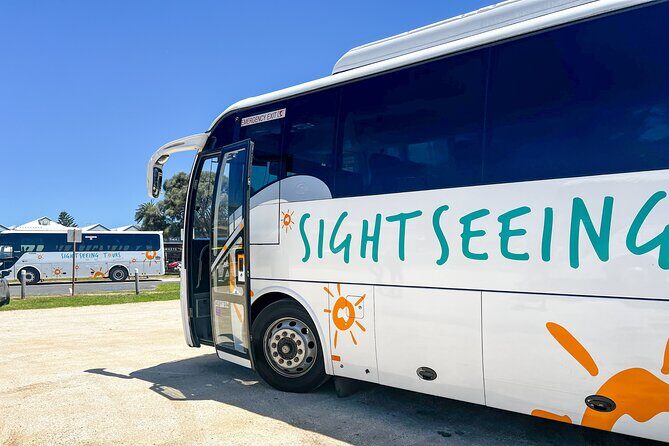 Full-Day Great Ocean Road and 12 Apostles Tour - Price and value: about $71 plus lunch, but lots included