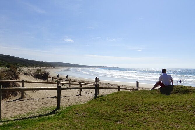 Full-Day Great Ocean Road and 12 Apostles Tour - Apollo Bay lunch: the right kind of break