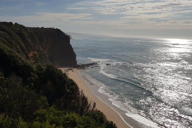 Full-Day Great Ocean Road Tour from Melbourne - Why This Great Ocean Road Day Feels Efficient (Even If It’s Long)