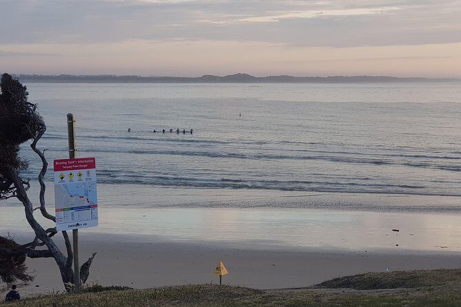 Full-Day Great Ocean Road Tour from Melbourne - Pickup, Seating, and What “Small Group” Really Changes