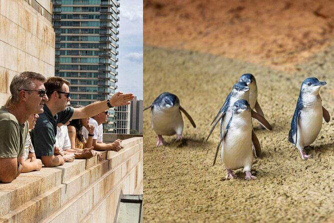 Full-day Melbourne City Sightseeing with Penguin Parade - Key things to know before you go
