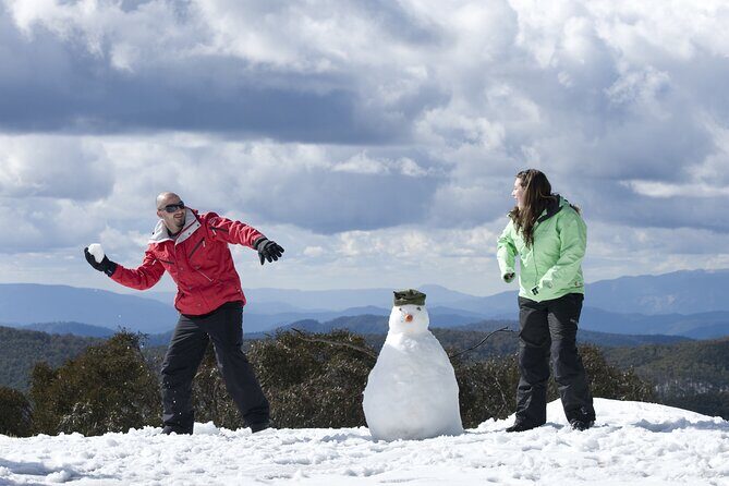 Full-Day Mount Buller Tour - Key points before you go