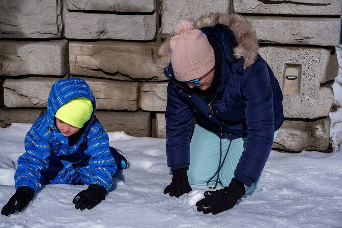 Full-Day Mount Buller Tour - Price and value: $104 and what’s really included