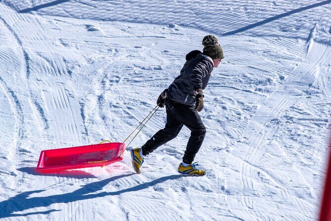 Full-Day Mount Buller Tour - Comfort, group size, and the pace of a long day