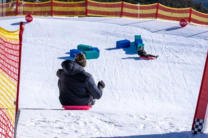 Full-Day Mount Buller Tour - Who this tour fits best (and who should skip it)