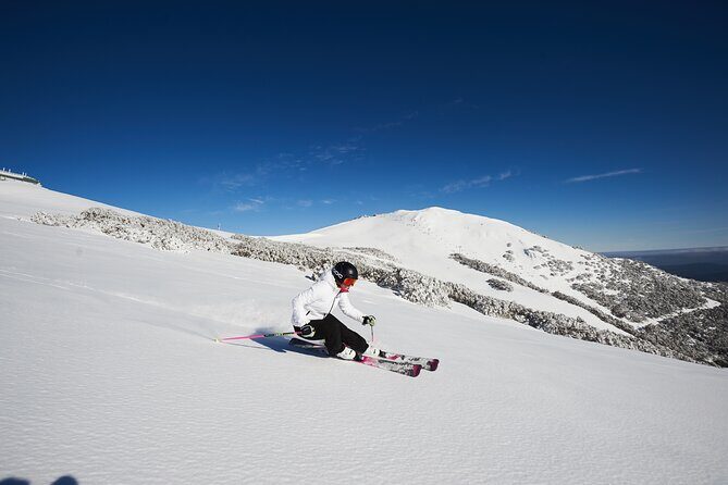 Full-Day Mount Buller Tour - The ride out of Melbourne: Yarra Valley and the High Country