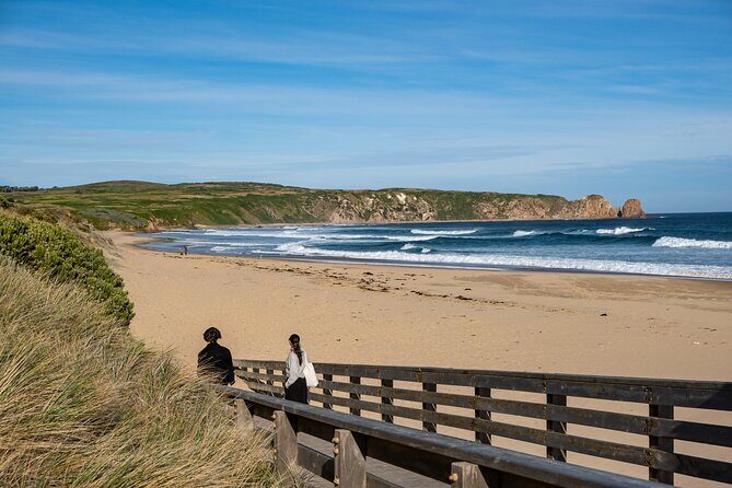 Full-Day Phillip Island Tour with Kangaroo, Koala and Penguin Parade - The Nobbies Centre and Seal Rock: volcanic views with fur seals