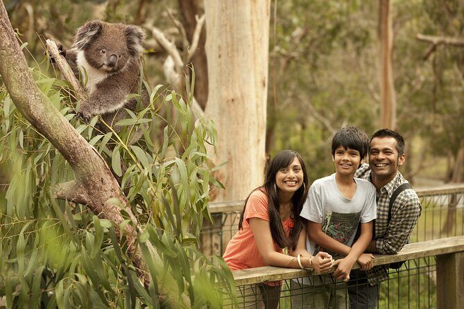 Full-Day Private Australian Wildlife Tour of Phillip Island - Hotel pickup and the rhythm of a 9-hour private day