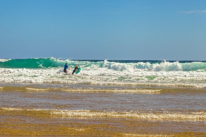 Full-Day Private Australian Wildlife Tour of Phillip Island - Brighton Beach stop: Port Phillip Bay viewpoints and beach-box charm