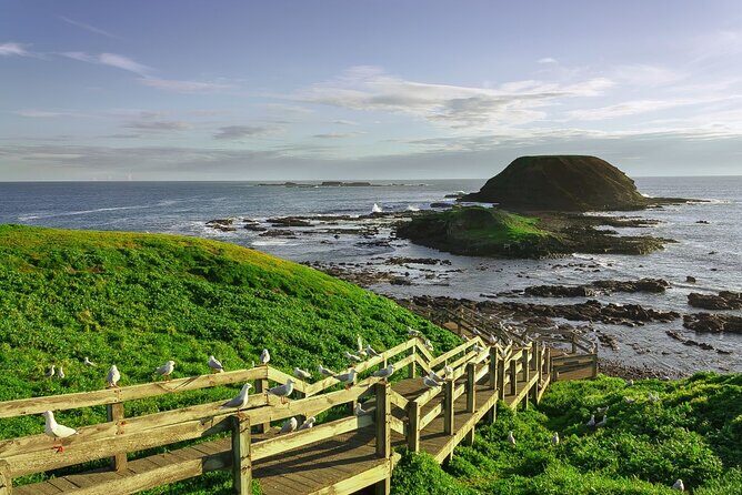 Full-Day Private Australian Wildlife Tour of Phillip Island - Who should book this private wildlife day (and who might skip it)