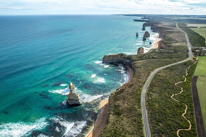 Full Day Private Custom Tour of Great Ocean Road & 12 Apostles - Kennett River: wildlife spotting from the treetops