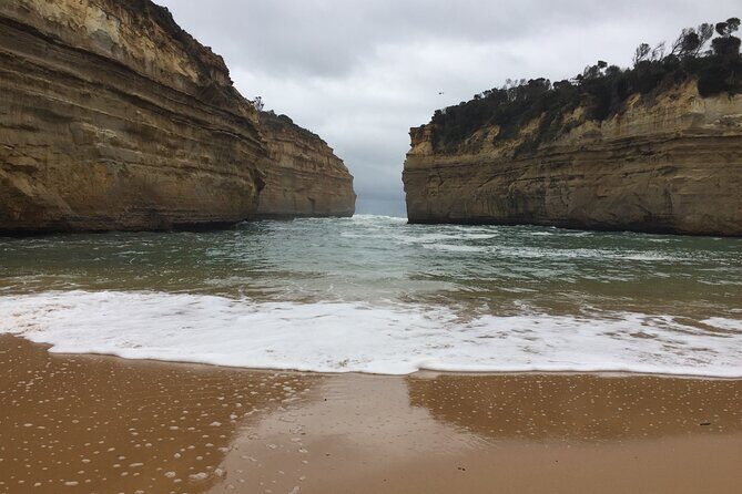 Full Day Private Custom Tour of Great Ocean Road & 12 Apostles - Anglesea: kangaroos and another easy coastal lookout